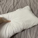 한이침장 이미지