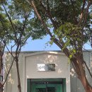 카페봄꿈 | 군산카페 매일 새로 만드는 디저트,베이커리 카페 조촌동 봄꿈! 애견동반 가능!