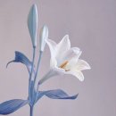 연빈화실 이미지