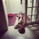 온천천동물병원 이미지