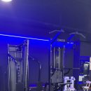 머슬핏 피트니스 이미지