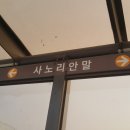 사노리안말 이미지