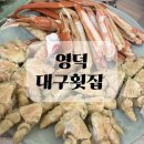 (주)영덕 | 영덕 대게 맛집 대구횟집 후기