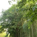 상수도사업본부 사하사업소화장실 | 1년에 딱 한달만 개방하는 울산 회야댐 생태습지탐방 후기, 예약방법