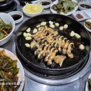 장어랑치킨 Daum카페