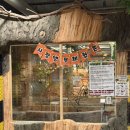 랜드 | 시흥 키즈카페 쥬뗌므 키즈랜드 후기 | 동물체험 가능한 시흥 이색카페