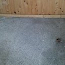 미스 당구장 이미지