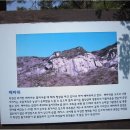 곰바위가든 이미지