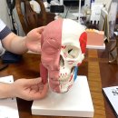 도시숲 | [경북 예천] 청담에스테숲 경북신도시 피부관리 후기