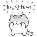 드림펠리체 이미지