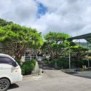 현대사슴목장 이미지