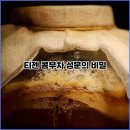 티젠 콤부차 효능, 운동없이 체지방 태운 썰 푼다