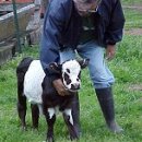 소보소농장 이미지