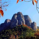 부개주유소 이미지