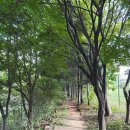 부일수산 | [블챌] 2024년 10월 첫째주 일상 기록(부천 에이프/역삼 슬로우앤로/샤로수길 섭지수산/영등포 부일갈비)