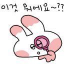 교촌치킨신월 이미지