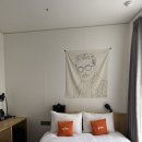 글루호텔 | 혜화 서울대병원 근처 대학로 가성비 호텔 글루호텔 스탠다드 더블 상세 후기