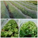 산들농원 이미지