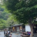 상은농장 | 5월을 마무리하는 일기
