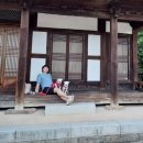 멈머다냥 이미지