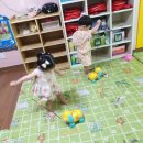 멍멍아 산책가자 이미지