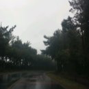 아가씨 노래연습장 이미지