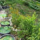 록원농장 이미지