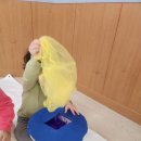 🎀천 놀이🎀 이미지