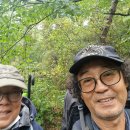 치악산둘레길 3코스 수레너미길 이미지