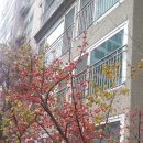 삼단지농장 네이버블로그
