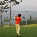 포레스트힐cc 이미지