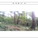 연제구-142 네이버블로그