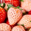 명재농장 이미지