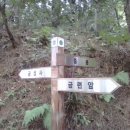 황령산 금성사 이미지