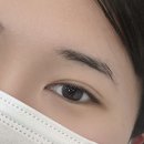 연봉리브로우