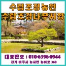 여주-0944 이미지