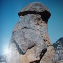 동쪽마을 이미지