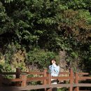 석현로 38 이미지