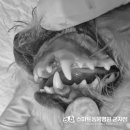 스마트동물병원 군자점 이미지