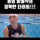 @Goodnightzinjo 가입 평영 팔동작의 정확한 타이밍!!! 평영이 안나가면 꼭보세요!!!(5가지 꿀팁!, 총정리) 이미지