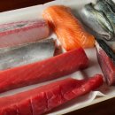 카티스트 이미지