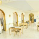 호랑호랑 이미지