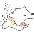 루이펫살롱 이미지