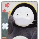 카페들꽃 이미지