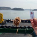 여수돌문어타코 | 여수 이순신광장 맛집 돌문어 타코 (명란마요 타코야끼 추천)