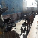 웅담2농장 이미지