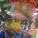 모네정원 이미지