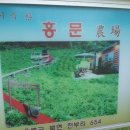 홍문농장 Daum카페