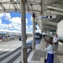 KING CAR | 24개월 아기랑 오키나와 자유여행, 오박사 King Car 렌트카 내돈내산 후기