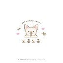 도곤도곤 애견미용실 이미지